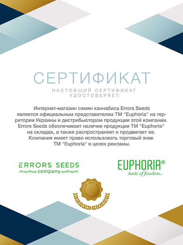 Сертификат Euphoria